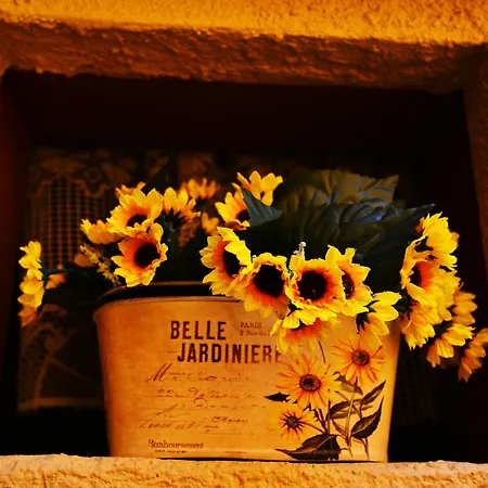 Olympos ゲストハウス Rhodes City