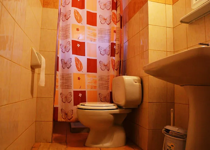 Guest house Olympos 3*